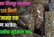 चोपडा-शिरपूर रस्त्यावर २.१२० किलो गांजासह एक जण अटकेत; लाखाेंचा मुद्देमाल जप्त