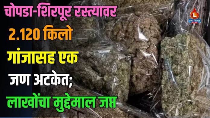 ganja