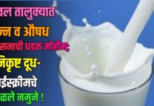 यावल तालुक्यात अन्न व औषध प्रशासनाची धडक मोहीम; निकृष्ट दूध-आईस्क्रीमचे आढळले नमुने !