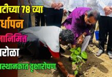 एसटीच्या ७८ व्या वर्धापन दिनानिमित्त पारोळा बसस्थानकात वृक्षारोपण