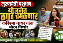 मुख्यमंत्री पशुधन योजनेत जळगावला राज्यात अव्वल करण्याचे लक्ष्य; सीईओ करिश्मा नायर