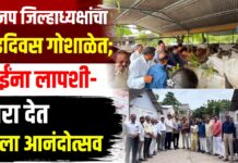भाजप जिल्हाध्यक्षांचा वाढदिवस गोशाळेत; गाईंना लापशी-चारा देत केला आनंदोत्सव