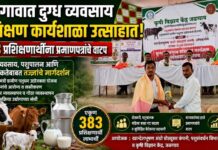 भडगावात दुग्ध व्यवसाय प्रशिक्षण कार्यशाळा उत्साहात ; ३८३ प्रशिक्षणार्थींना प्रमाणपत्रांचे वाटप