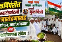 धुळपिंप्रीत स्वातंत्र्यदिनी ध्वजारोहणासह ‘माझं गाव, माझं अभियान’ अन् वृक्षारोपणाचा संदेश