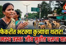 फेकरीत भटक्या कुत्र्यांच्या वाढत्या उपद्रवाने ग्रामस्थ त्रस्त