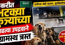 फेकरीत भटक्या कुत्र्यांच्या वाढत्या उपद्रवाने ग्रामस्थ त्रस्त