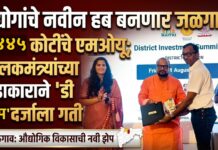 स्थानिक तरुणांना रोजगाराच्या संधी द्या अन् जिल्ह्याचा विकास साधा ; पालकमंत्री गुलाबराव पाटलांचे आवाहन