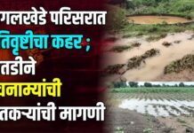 जोगलखेडे परिसरात अतिवृष्टीचा कहर ; तातडीने पंचनाम्यांची शेतकऱ्यांची मागणी