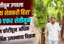 मातीतून उगवला ‘युवा शेतकरी हिरा’ ; ५० एकर शेतीतून दोन कोटींहून अधिक वार्षिक उत्पन्नाचा विक्रम