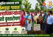 सामूहिक वनहक्क प्राप्त निमड्या गावात जिल्हाधिकाऱ्यांच्या हस्ते वृक्षारोपण ; ग्रामस्थांचा उत्स्फूर्त सहभाग