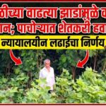 Pachora farmer