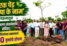 ‘एक पेड़ पापा के नाम’ उपक्रमातून पर्यावरण संवर्धनाचा संदेश; वडिलांच्या स्मरणार्थ ५० वृक्षांचे रोपण