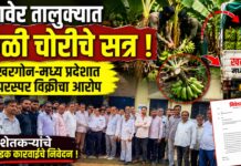 रावेर तालुक्यात केळी चोरीचे सत्र ; खरगोन-मध्य प्रदेशात परस्पर विक्रीचा आरोप, शेतकऱ्यांचे कडक कारवाईचे निवेदन