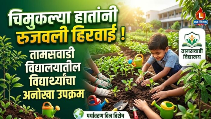 Tamaswadi1