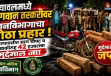 यावलमध्ये सागवान तस्करीवर वनविभागाचा मोठा प्रहार ; कोरपावलीत साग चौपट व दुचाकीसह 42 हजारांचा मुद्देमाल जप्त