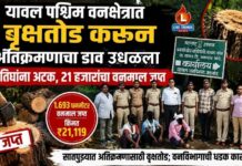 यावल पश्चिम वनक्षेत्रात वृक्षतोड करून अतिक्रमणाचा डाव उधळला ; तिघांना अटक, २१ हजारांचा वनमाल जप्त