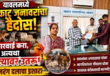 यावलमध्ये मोकाट जनावरांचा हैदोस; कारवाई करा, अन्यथा रस्त्यावर उतरू – बजरंग दलाचा इशारा