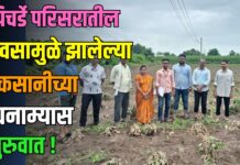 पिचर्डे परिसरातील पावसामुळे झालेल्या नुकसानीच्या पंचनाम्यास सुरुवात !