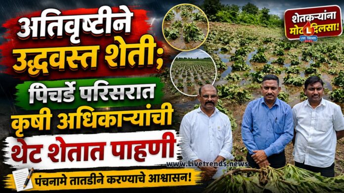 bhadgaon1