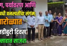 योग, पर्यावरण आणि औषधी वनस्पतींचा संगम; पारोळ्यात ‘जडीबुटी दिवस’ उत्साहात साजरा