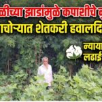 subhabhul1