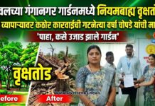 यावलच्या गंगानगर गार्डनमध्ये नियमबाह्य वृक्षतोड; दोषी व्यापाऱ्यावर कठोर कारवाईची गटनेत्या वर्षा चोपडे यांची मागणी