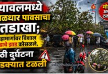 यावलमध्ये मुसळधार पावसाचा तडाखा; महामार्गावर विशाल वडाचे झाड कोसळले, मोठी दुर्घटना थोडक्यात टळली