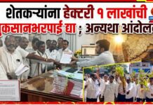 शेतकऱ्यांना हेक्टरी १ लाखांची नुकसानभरपाई द्या ; अन्यथा आंदोलन