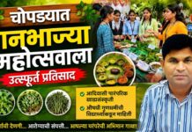 चोपड्यात रानभाज्या महोत्सवाला उत्स्फूर्त प्रतिसाद ; आदिवासी पारंपरिक खाद्यसंस्कृती व औषधी गुणधर्मांची विद्यार्थ्यांकडून माहिती