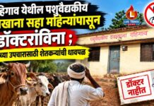 दहिगाव येथील पशुवैद्यकीय दवाखाना सहा महिन्यांपासून डॉक्टरांविना ; गुरांच्या उपचारासाठी शेतकऱ्यांची धावपळ
