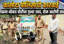कासोदा पोलिसांची कारवाई ; २३ शेळ्या-बोकड चोरीचा गुन्हा उघड, दोन आरोपी ताब्यात