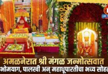 अमळनेरात श्री मंगळ जन्मोत्सवात महाभोमयाग, पालखी अन् महाधूपारतीचा भव्य सोहळा !