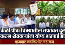 केळी पीक विम्यातील तफावत दूर करून शेतकऱ्यांना योग्य भरपाई द्या; आमदार नंदकिशोर महाजन
