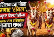 नशिराबादचा पोळा ठरणार ‘रॉयल’; उत्कृष्ट बैलजोडीला मिळणार रोख बक्षिसांसह मानाचा चषक