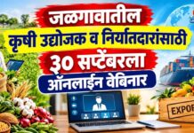 जळगावातील कृषी उद्योजक व निर्यातदारांसाठी ३० सप्टेंबरला ऑनलाइन वेबिनार