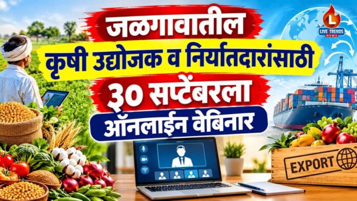 Online webinor
