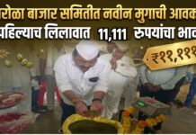 पारोळा बाजार समितीत नवीन मुगाची आवक ; पहिल्याच लिलावात ११,१११ रुपयांचा भाव