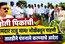 शेती पिकांची आमदार राजू मामा भोळेंकडून पाहणी ; तातडीने पंचनामे करण्याचे आदेश