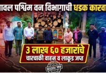 यावल पश्चिम वन विभागाची धडक कारवाई ; ३ लाख ६० हजारांचे चारचाकी वाहन व लाकूड जप्त