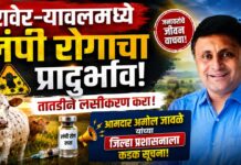 रावेर-यावलमध्ये लंपी रोगाचा प्रादुर्भाव ; तातडीने लसीकरण करा – आमदार अमोल जावळे यांच्या जिल्हा प्रशासनाला कडक सूचना