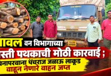 यावल वन विभागाच्या गस्ती पथकाची मोठी कारवाई ; विनापरवाना पंचराज जळाऊ लाकूड वाहून नेणारे वाहन जप्त