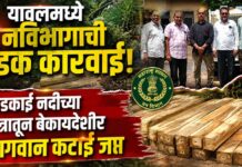 यावलमध्ये वनविभागाची धडक कारवाई ; खडकाई नदीच्या पात्रातून बेकायदेशीर सागवान कटाई जप्त
