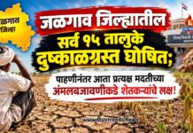 जळगाव जिल्ह्यातील सर्व १५ तालुके दुष्काळग्रस्त घोषित; पाहणीनंतर आता प्रत्यक्ष मदतीच्या अंमलबजावणीकडे शेतकऱ्यांचे लक्ष!