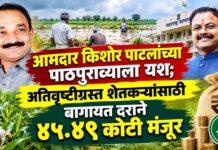 आमदार किशोर पाटलांच्या पाठपुराव्याला यश; अतिवृष्टीग्रस्त शेतकऱ्यांसाठी बागायत दराने ४५.४९ कोटी मंजूर