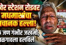 रावेर स्टेशन रोडवर मधमाशांचा अचानक हल्ला; एक जण गंभीर जखमी, जळगावला हलविले