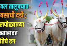 यावल तालुक्यात पावसाची दडी ; बैलपोळ्याच्या उत्साहावर चिंतेचे ढग