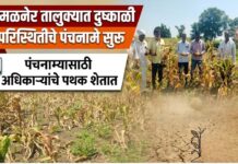 अमळनेर तालुक्यात दुष्काळी परिस्थितीचे पंचनामे सुरू