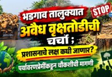 भडगाव तालुक्यात अवैध वृक्षतोडीची चर्चा ; प्रशासनाचे लक्ष कधी जाणार? पर्यावरणप्रेमींकडून चौकशीची मागणी