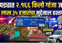 चोपड्यात २.१६६ किलो गांजा जप्त ; १ लाख ३५ हजारांचा मुद्देमाल हस्तगत, तरुणाला अटक