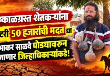 दुष्काळग्रस्त शेतकऱ्यांना हेक्टरी ५० हजारांची मदत द्या ; प्रभाकर साळवे घोड्यावरून जाणार जिल्हाधिकाऱ्यांकडे!